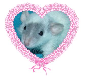 8fb4b2cca8e28a882d0d95fafe18f241.png 8fb4b2cca8e28a882d0d95fafe18f241.png