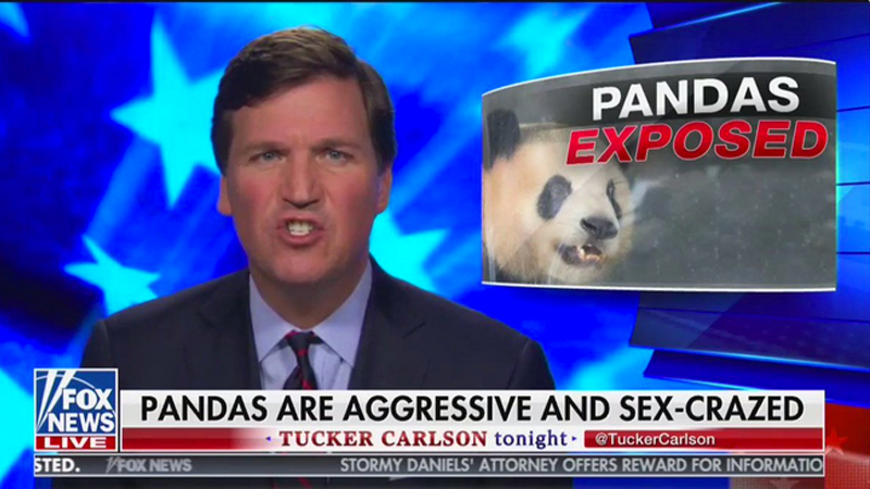 tucker.jpg