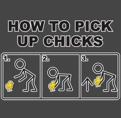 ---How-to-pick-up-chicks--MEME-LOL.jpg