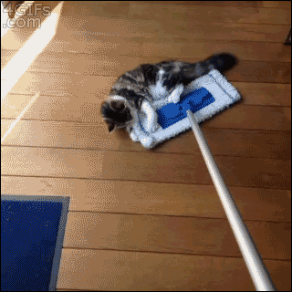 7cc733e43c0dabaf0db923e029b4e959.gif