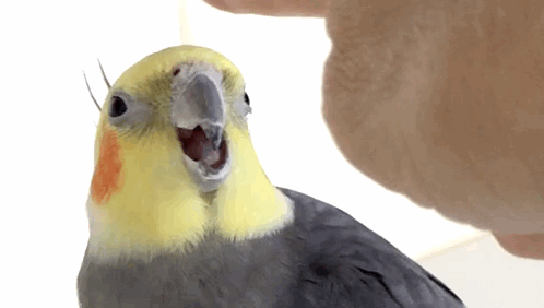 tumblr_n8flmrZqAx1r3p42ko1_500.gif