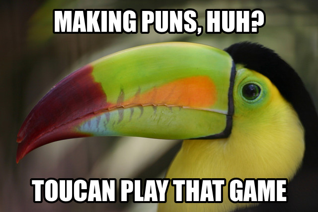 toucan+pun.jpg